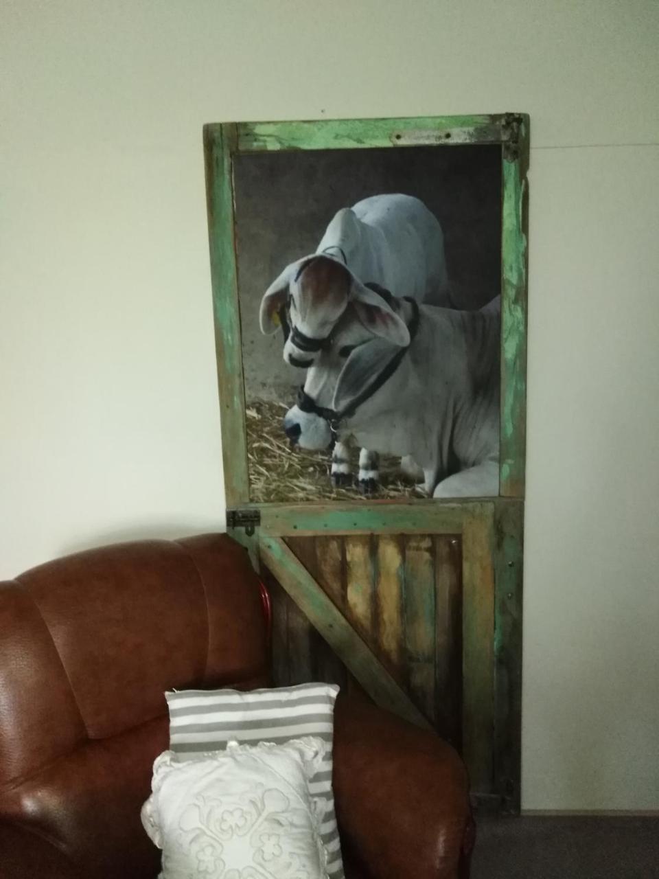 Die Windpomp Guesthouse Gobabis Exteriör bild